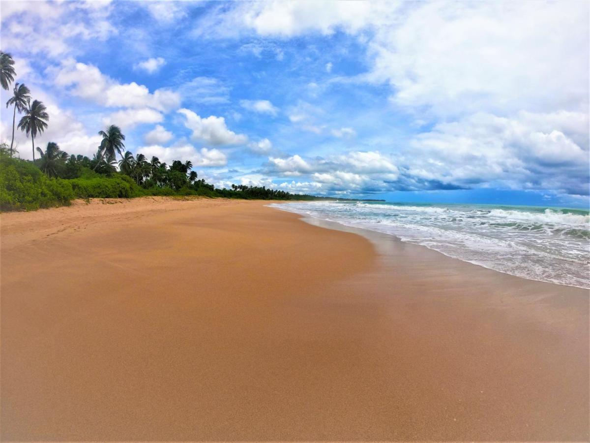 Sleeping Elephant Beach Resort Тангалла Экстерьер фото