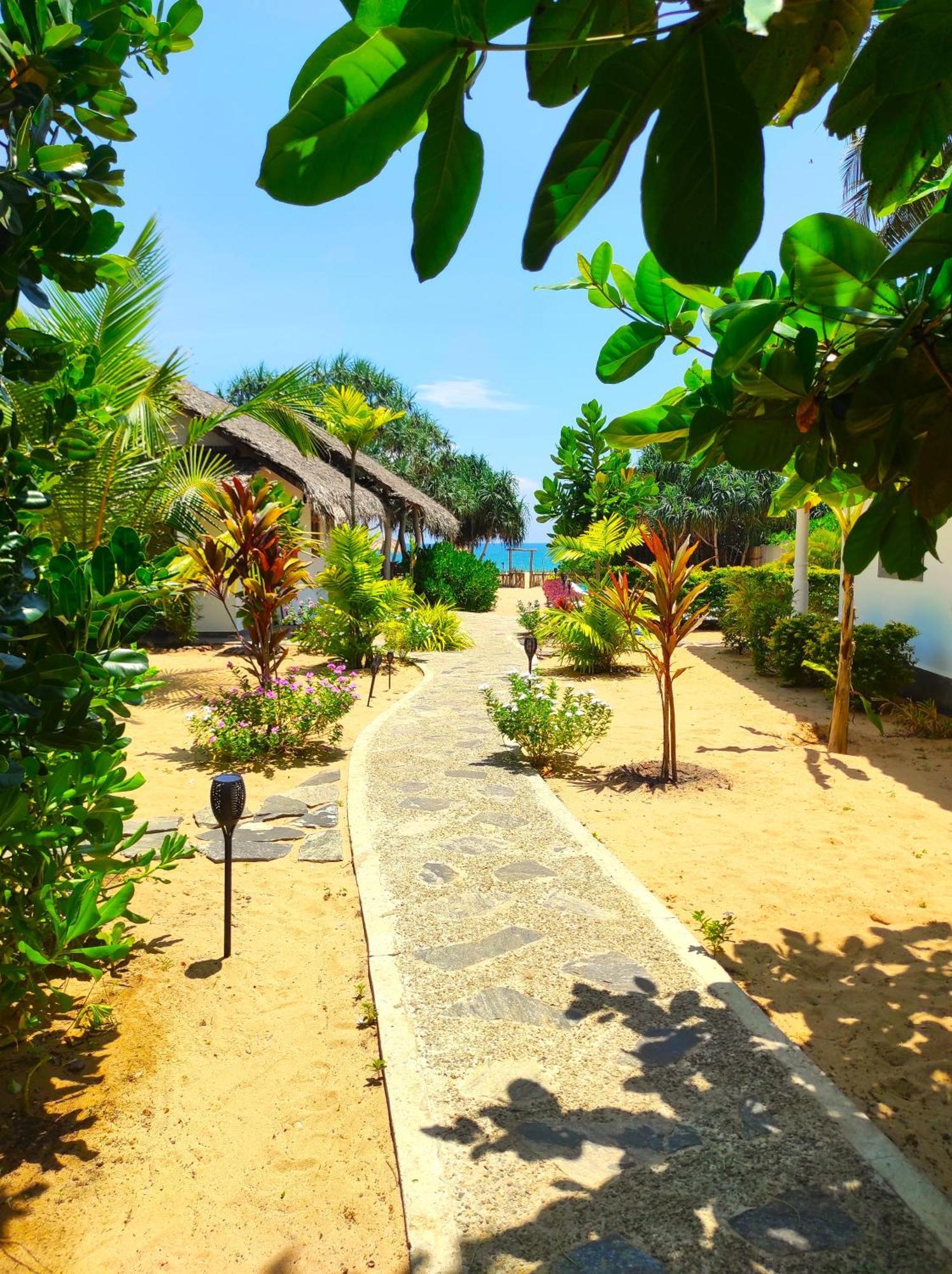 Sleeping Elephant Beach Resort Тангалла Экстерьер фото